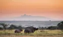 safari nairobi