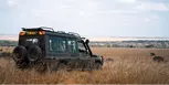 Wake up on safari